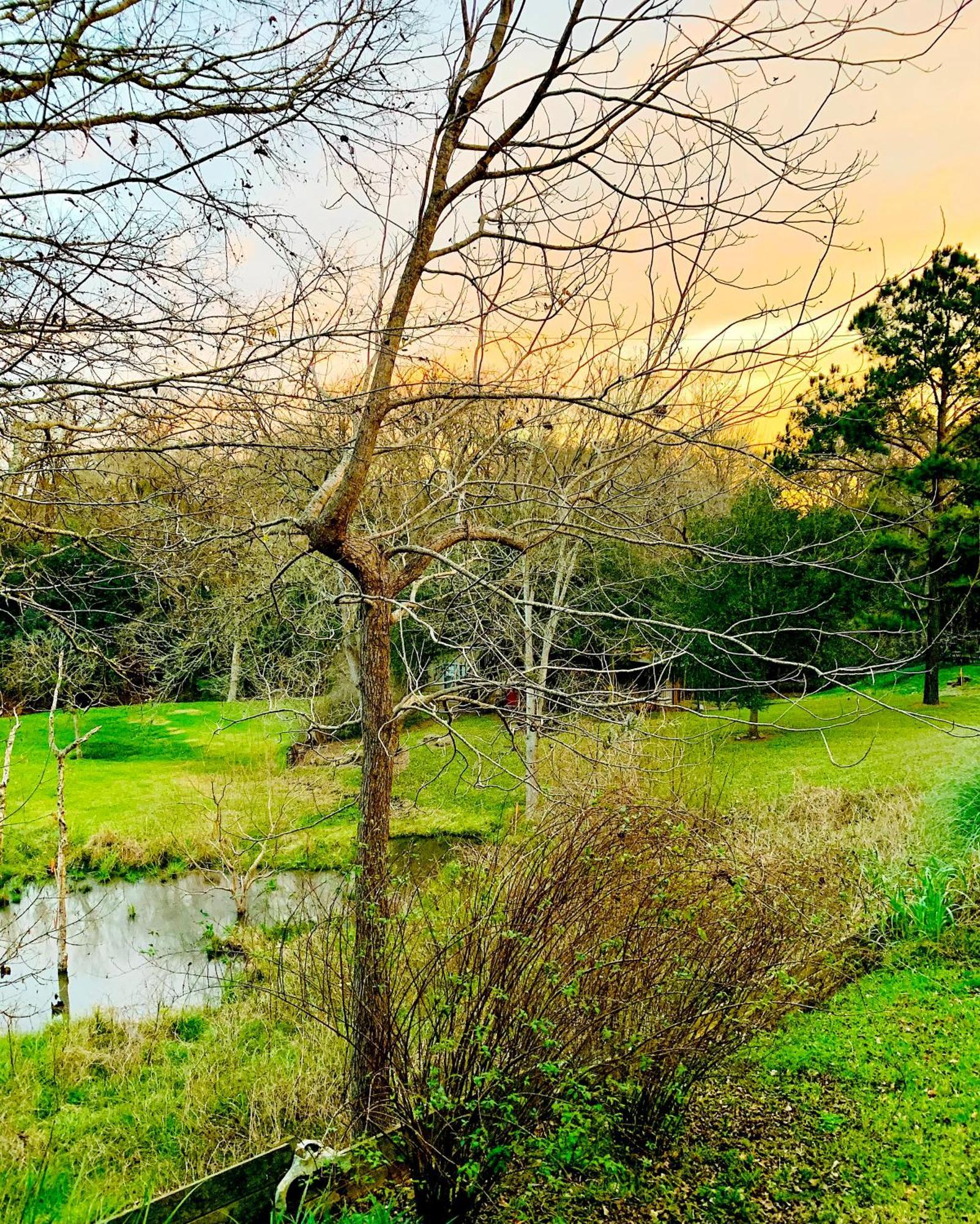 Circa 1900 - Historic - Romantic - Private - Pond - Fenced Yard - The Cottage At Chappell Hill Exterior photo